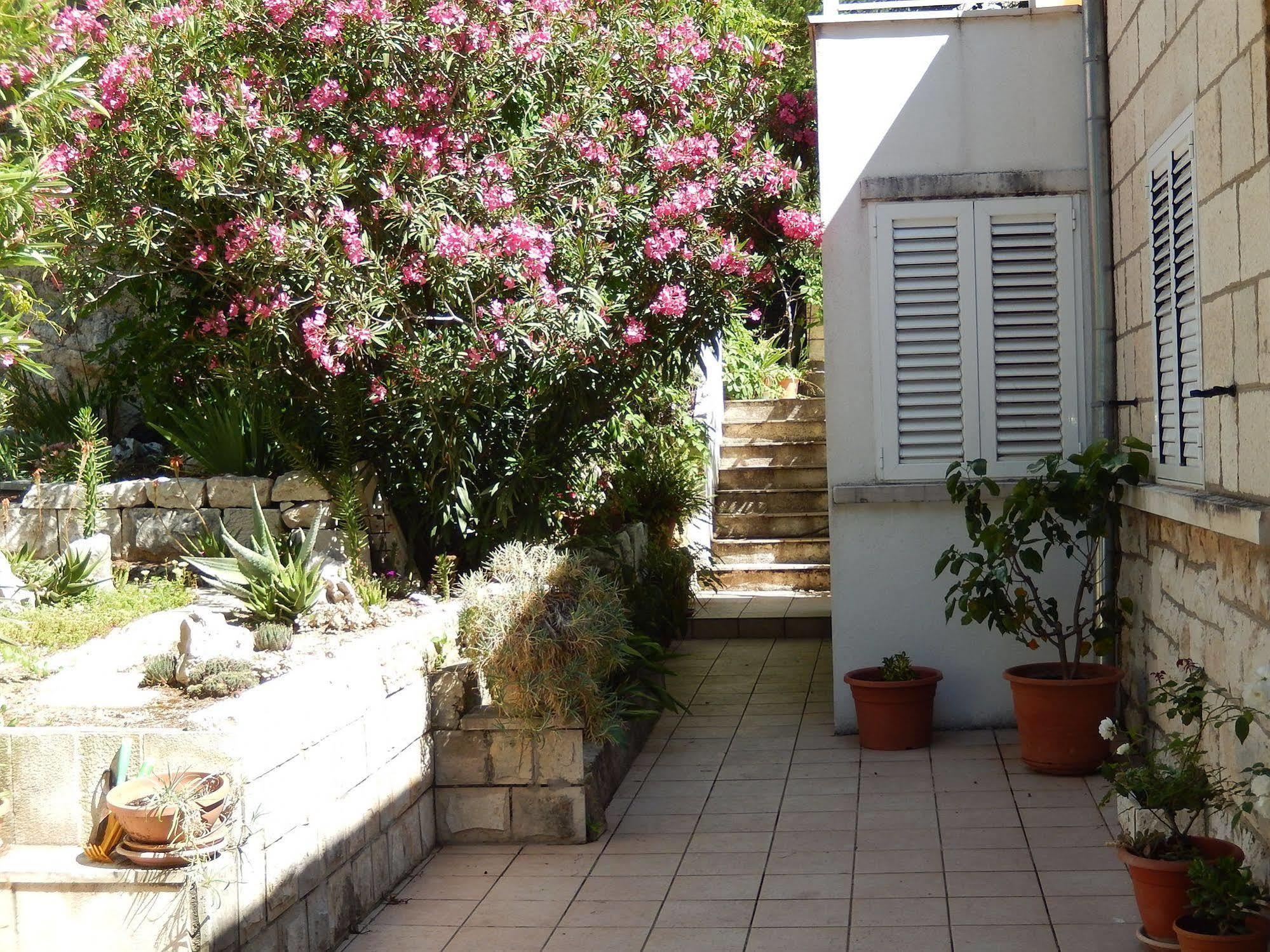 Amazing Sea View Apartments Dubrovnik Luaran gambar