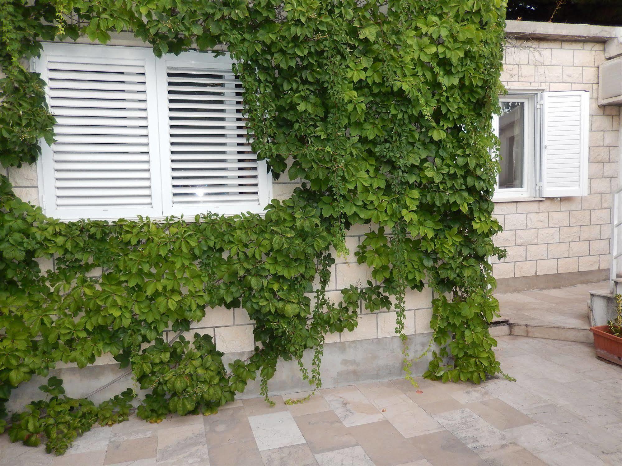Amazing Sea View Apartments Dubrovnik Luaran gambar